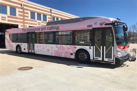 Metro decorates trains, buses, SmarTrip cards, expands service for cherry blossoms